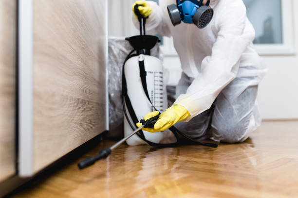 Professional Pest Control in Dulles Town Center, VA