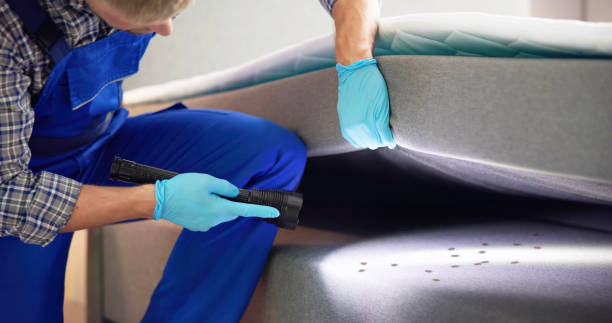 Flea Control Services in Dulles Town Center, VA