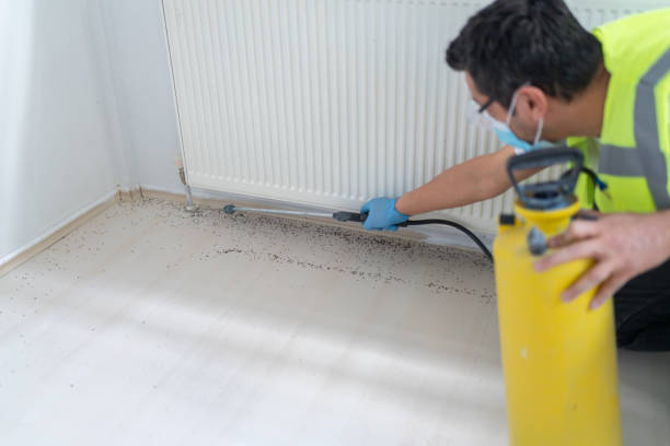 Best Best Pest Control Companies  in Dulles Town Center, VA